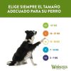 Perros Whimzees Snacks Y Chuches | Whimzees Snacks Dentales Cocodrilo Para Perros De Razas Grandes