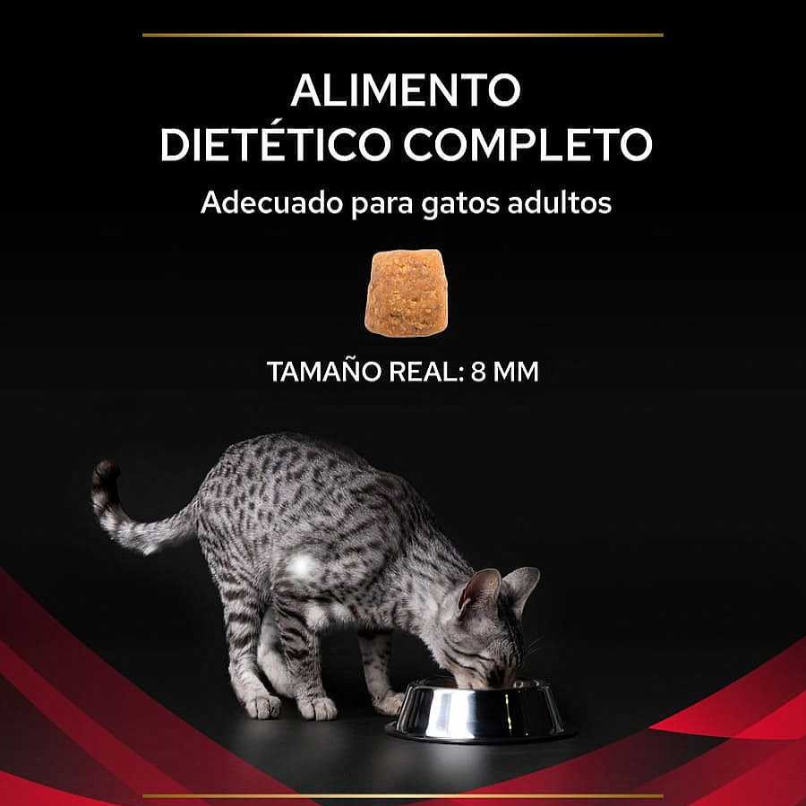 Gatos Pro Plan Dietas Veterinarias | Pro Plan Veterinary Diets Diabetes Management Pienso Para Gatos