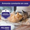 Gatos Feliway | Feliway Friends Difusor Para Gatos