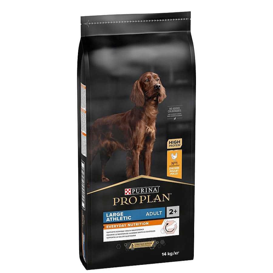 Perros Pro Plan Pienso Seco | Pro Plan Large Athletic Adult Pollo Pienso Para Perros