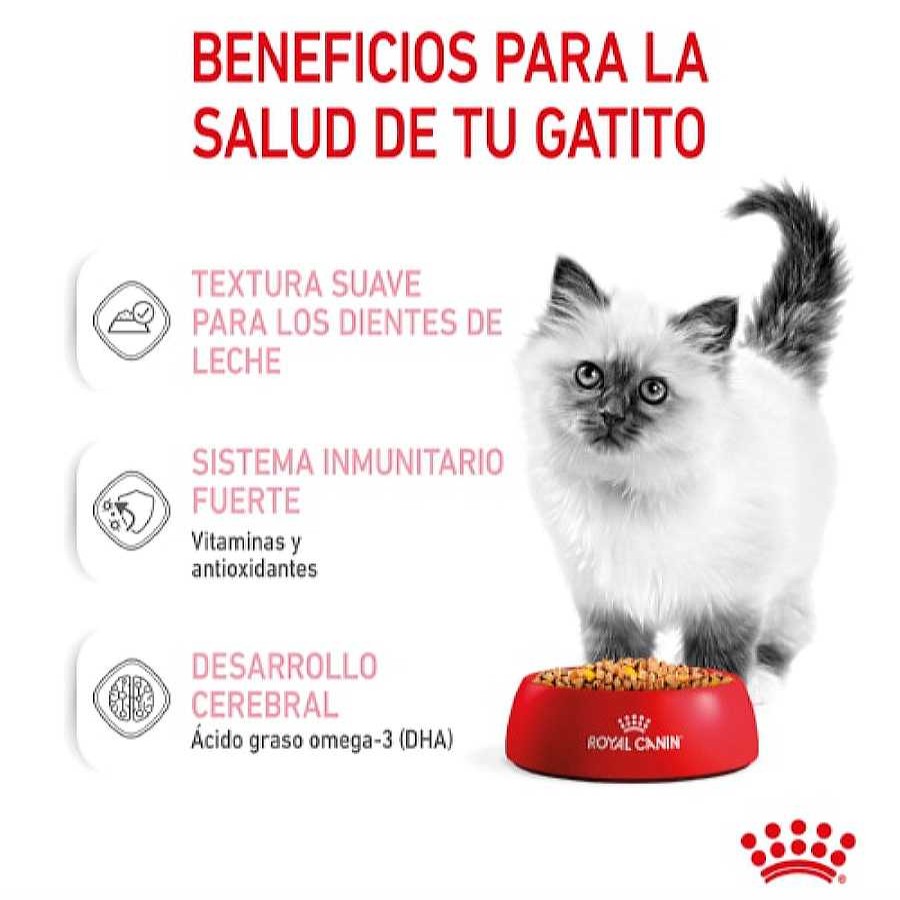 Gatos Royal Canin Comida H Meda | Royal Canin Kitten Comida H Meda En Gelatina Sobre Para Gatitos