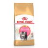 Gatos Royal Canin Pienso Seco | Royal Canin Kitten Persia Pienso Para Gatos