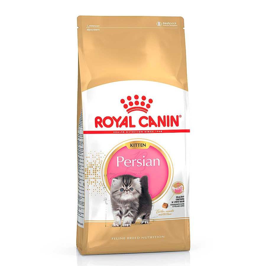 Gatos Royal Canin Pienso Seco | Royal Canin Kitten Persia Pienso Para Gatos