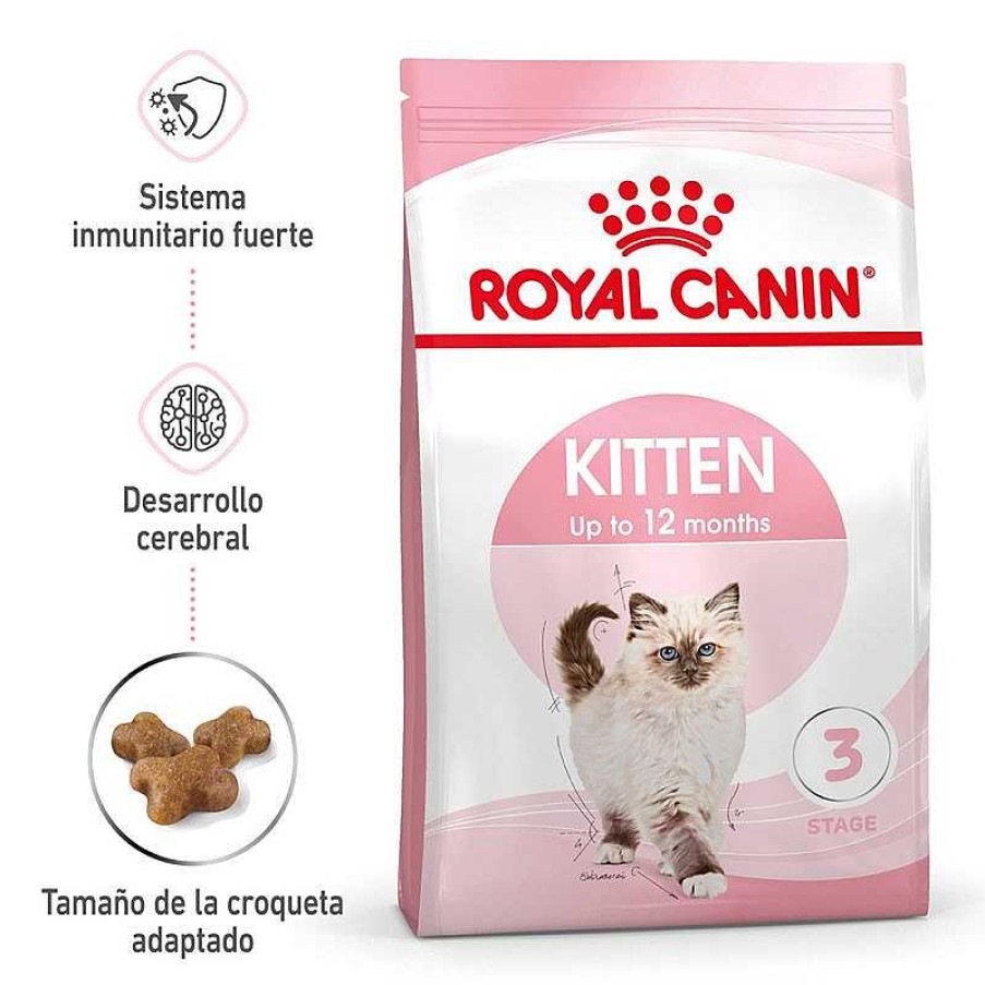 Gatos Royal Canin Pienso Seco | Royal Canin Kitten Pienso Para Gatos