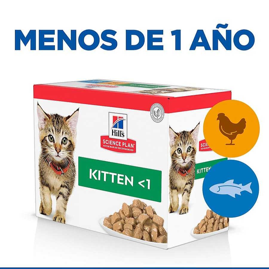 Gatos Hill's Comida H Meda | Hill'S Science Plan Kitten Pollo Y Pescado Sobre Para Gatos Multipack