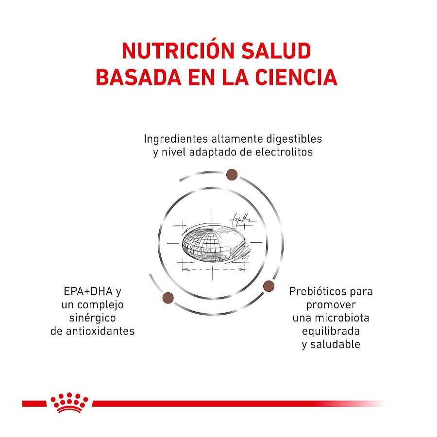 Gatos Royal Canin Pienso Seco | Royal Canin Veterinary Gastrointestinal Moderate Calorie Pienso Para Gatos