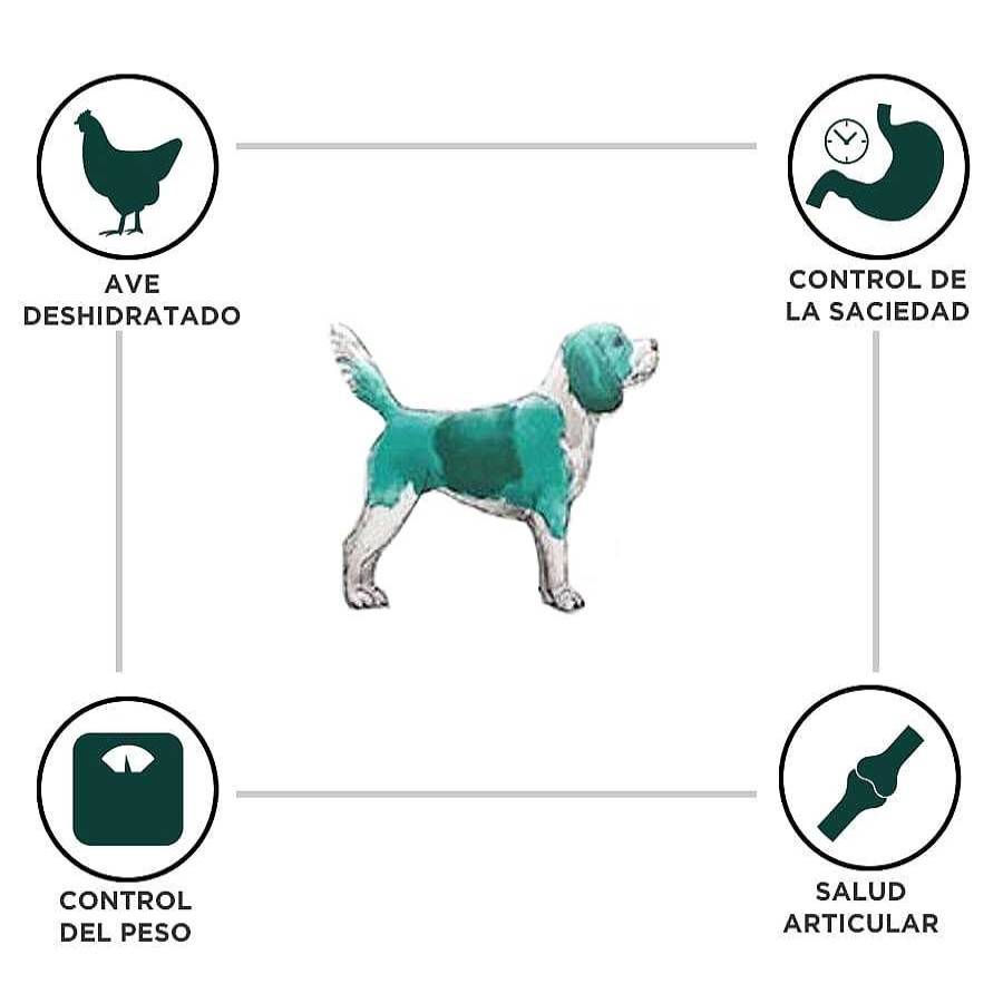 Perros Criadores Dietas Veterinarias | Criadores Adulto Obesity Pienso Para Perros