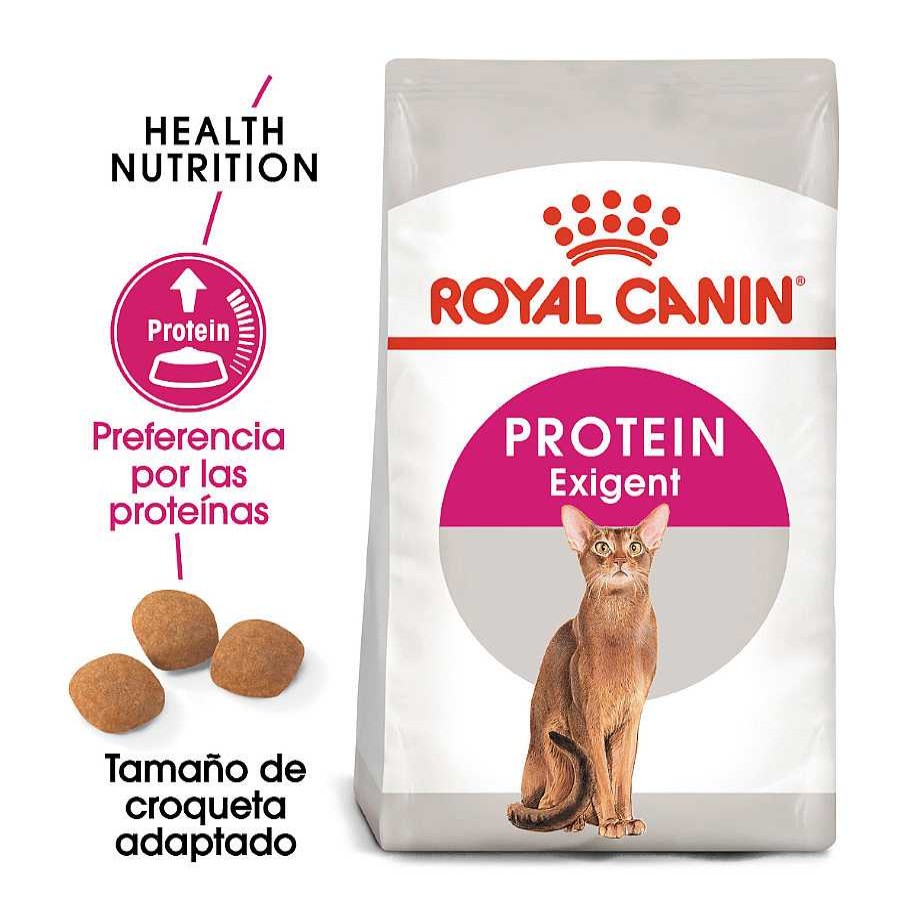 Gatos Royal Canin Pienso Seco | Royal Canin Adult Exigent Protein Pienso Para Gatos