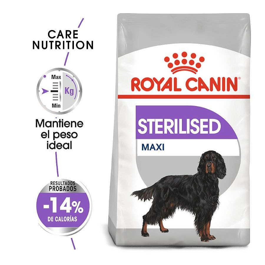 Perros Royal Canin Pienso Seco | Royal Canin Sterilised Maxi Pienso Para Perros