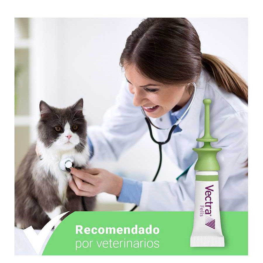 Gatos Vectra | Vectra Felis Pipetas Antiparasitarias Para Gatos