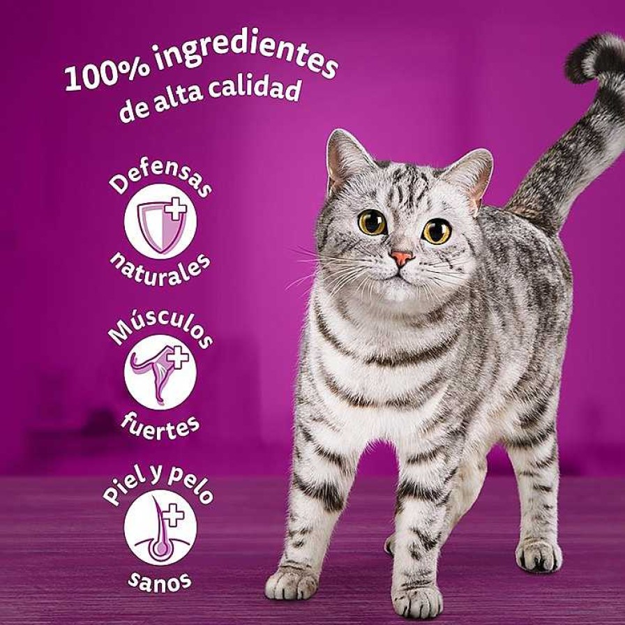 Gatos Whiskas Comida H Meda | Whiskas Selecci N Aves Gelatina En Bolsita Para Gatos Adultos - Multipack