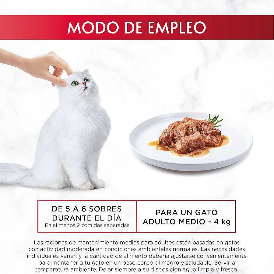 Gatos Gourmet Comida H Meda | Gourmet Mon Petit Selecci N Pescados En Salsa