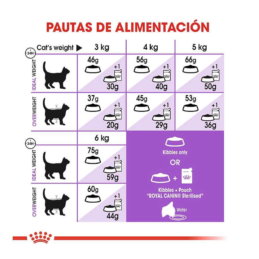 Gatos Royal Canin Pienso Seco | Royal Canin Adult 7+ Regular Sterilised Pienso Para Gatos