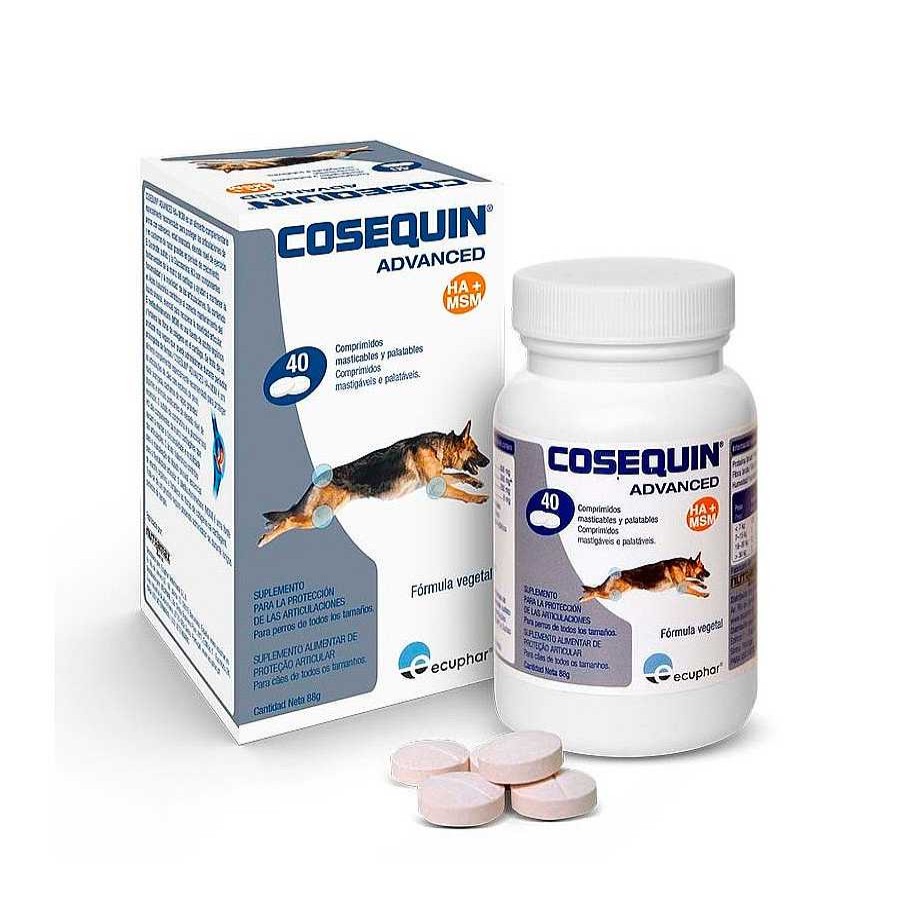 Perros Cosequin Salud Y Complementos | Ecuphar Cosequin Advanced Condroprotector Articular Para Perros