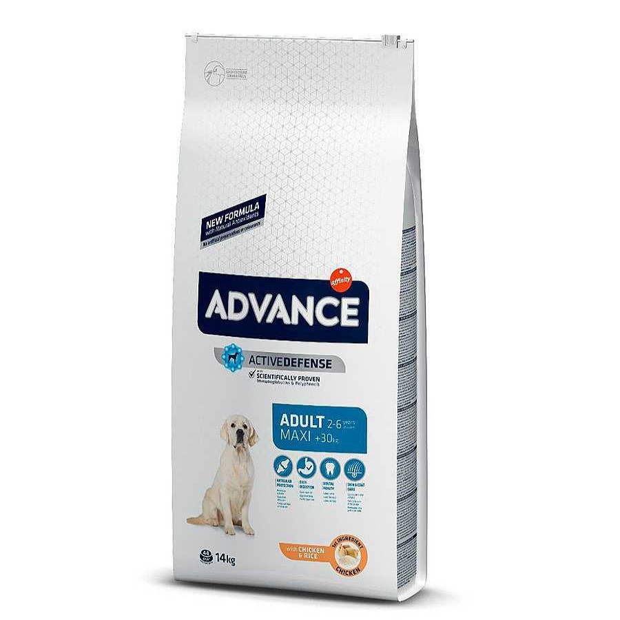 Perros Advance Pienso Seco | Advance Maxi Adult Active Defense Pollo Y Arroz Pienso Para Perros