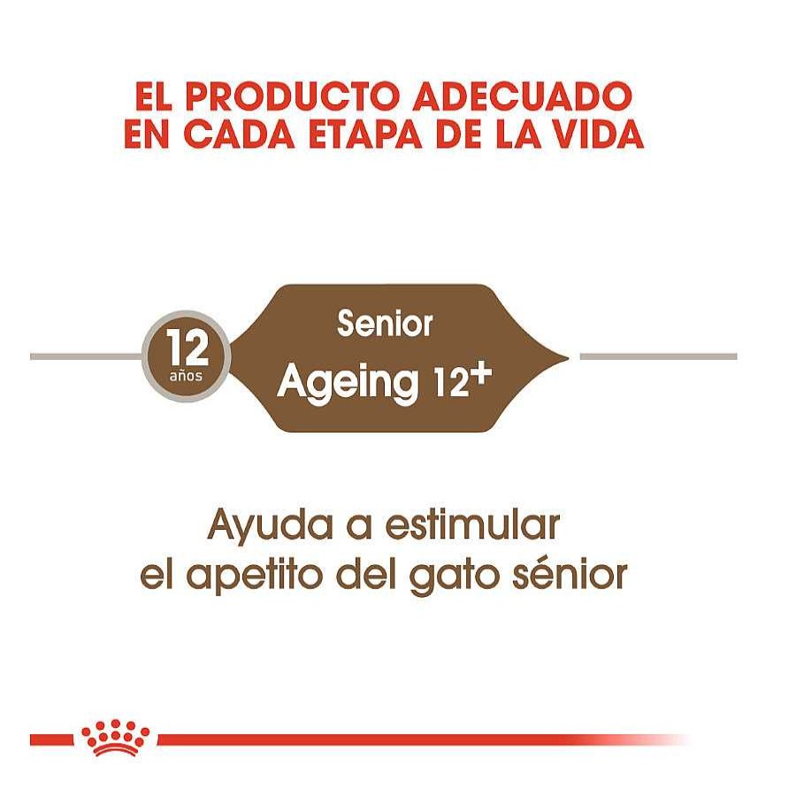 Gatos Royal Canin Pienso Seco | Royal Canin Ageing 12+ Pienso Para Gatos