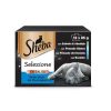 Gatos Sheba Comida H Meda | Sheba Selezione Pescados Salsa En Bolsita Para Gatos - Multipack