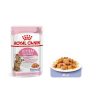 Gatos Royal Canin Comida H Meda | Royal Canin Kitten Sterilised Gelatina Para Gatos