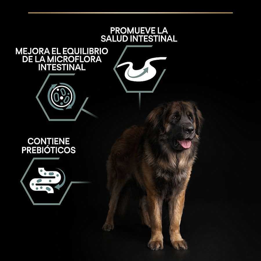 Perros Pro Plan Pienso Seco | Pro Plan Adult Large Robust Digesti N Cordero Pienso Para Perros