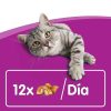 Gatos Whiskas Snacks | Whiskas Temptations Snacks Salm N Para Gatos