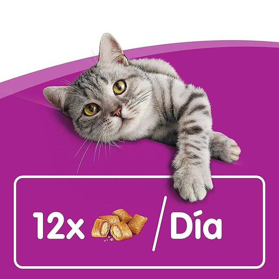 Gatos Whiskas Snacks | Whiskas Temptations Snacks Salm N Para Gatos