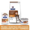 Gatos Hill's Dietas Veterinarias | Hill'S Prescription Diet Kidney Care K/D At N Pienso Para Gato