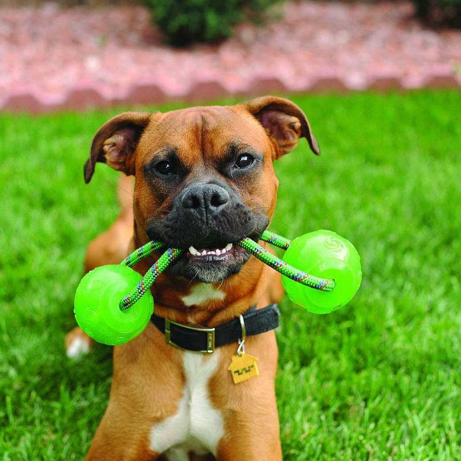 Accesorios Kong | Kong Squeezz Bola Con Asa Juguete Para Perros