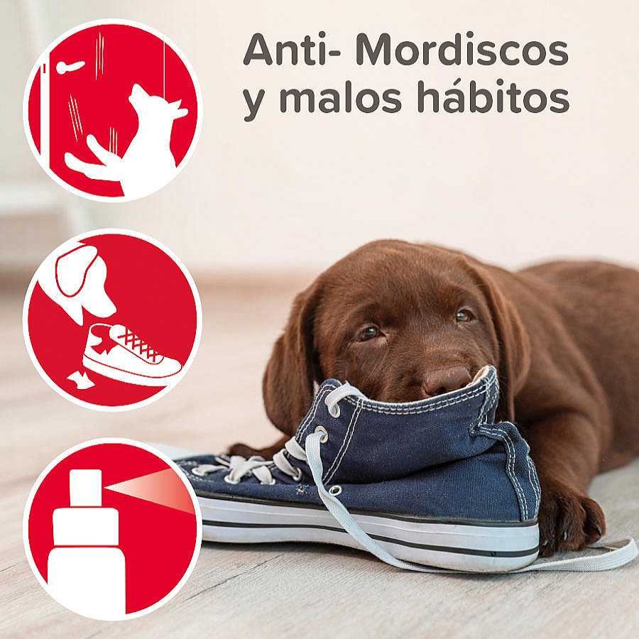 Perros Beaphar Empapadores Y Pa Ales | Beaphar Stop It Educador Para Interior Antimicciones Y Antimordeduras