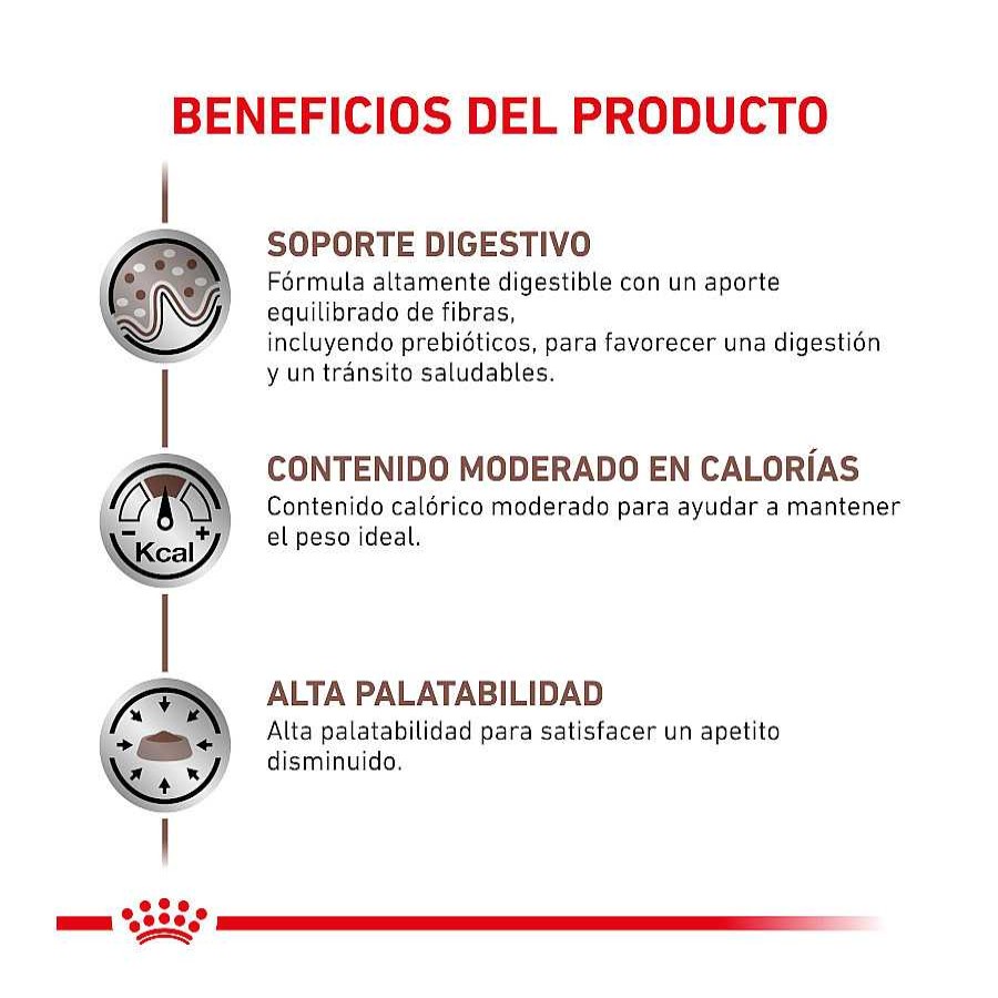 Gatos Royal Canin Dietas Veterinarias | Royal Canin Veterinary Gastrointestinal Moderate Calorie Sobre Para Gatos