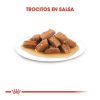 Perros Royal Canin Comida H Meda | Royal Canin Medium Adult Sobre En Salsa Para Perros