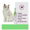 Gatos Vectra | Vectra Felis Pipetas Antiparasitarias Para Gatos