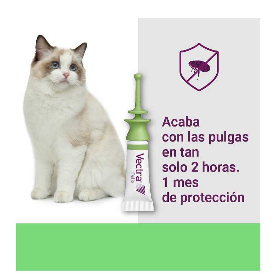 Gatos Vectra | Vectra Felis Pipetas Antiparasitarias Para Gatos