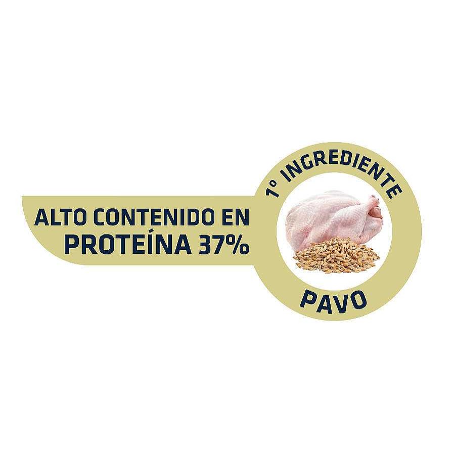 Gatos Advance Pienso Seco | Advance Adult Sterilized Pavo Y Cebada Pienso Para Gatos