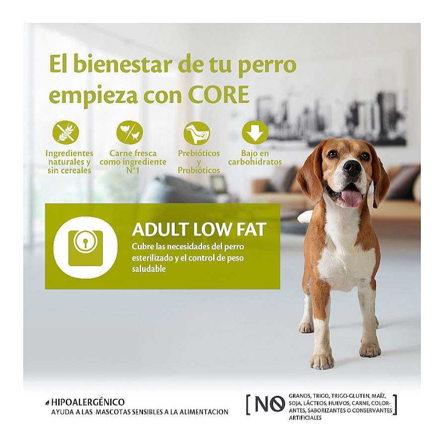 Perros Wellness Core Pienso Seco | Wellness Core Adult Medium/Large Healthy Pavo Low Fat Pienso Para Perros