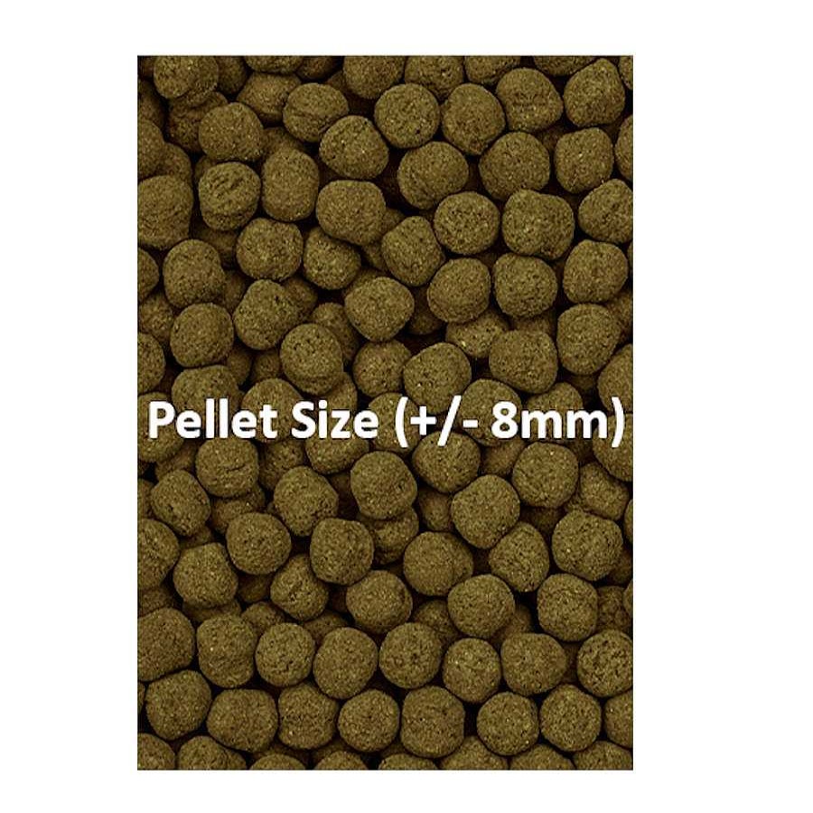 Peces Ocean Nutrition Alimentaci N Para Peces | Ocean Nutrition Formula Two Marine Pellet Para Peces Tropicales