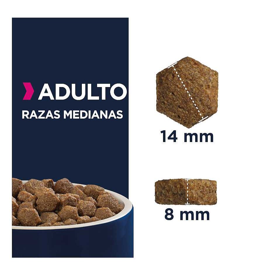 Perros Eukanuba Pienso Seco | Eukanuba Adult Medium Pollo Pienso Para Perros