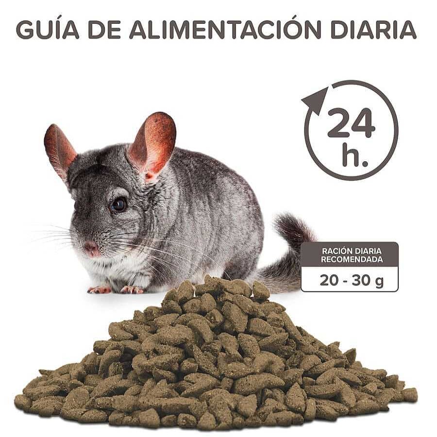 Conejos Y Roedores Beaphar Pienso | Beaphar Care+ Pienso Para Chinchillas