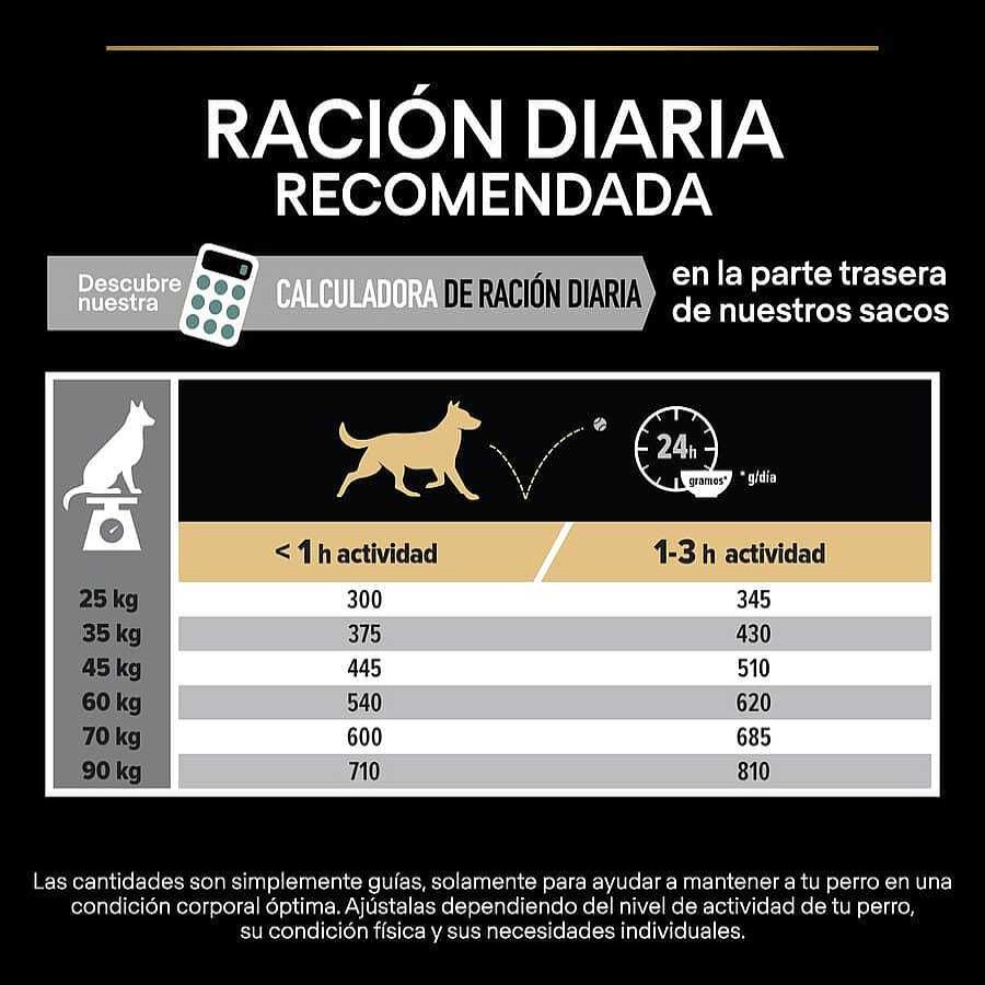 Perros Pro Plan Pienso Seco | Pro Plan Adult Large Athletic Digesti N Cordero Pienso Para Perros