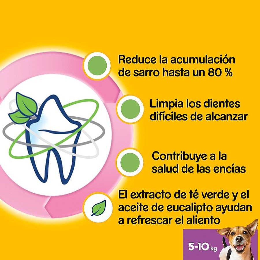 Perros Pedigree Snacks Y Chuches | Pedigree Dentastix Fresh Snacks Dentales Para Perros Peque Os