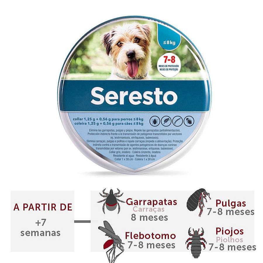 Perros Seresto Antiparasitarios | Seresto Collar Antiparasitario Para Perros