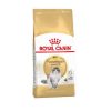 Gatos Royal Canin Pienso Seco | Royal Canin Adult Norwegian Forest Pienso Para Gatos