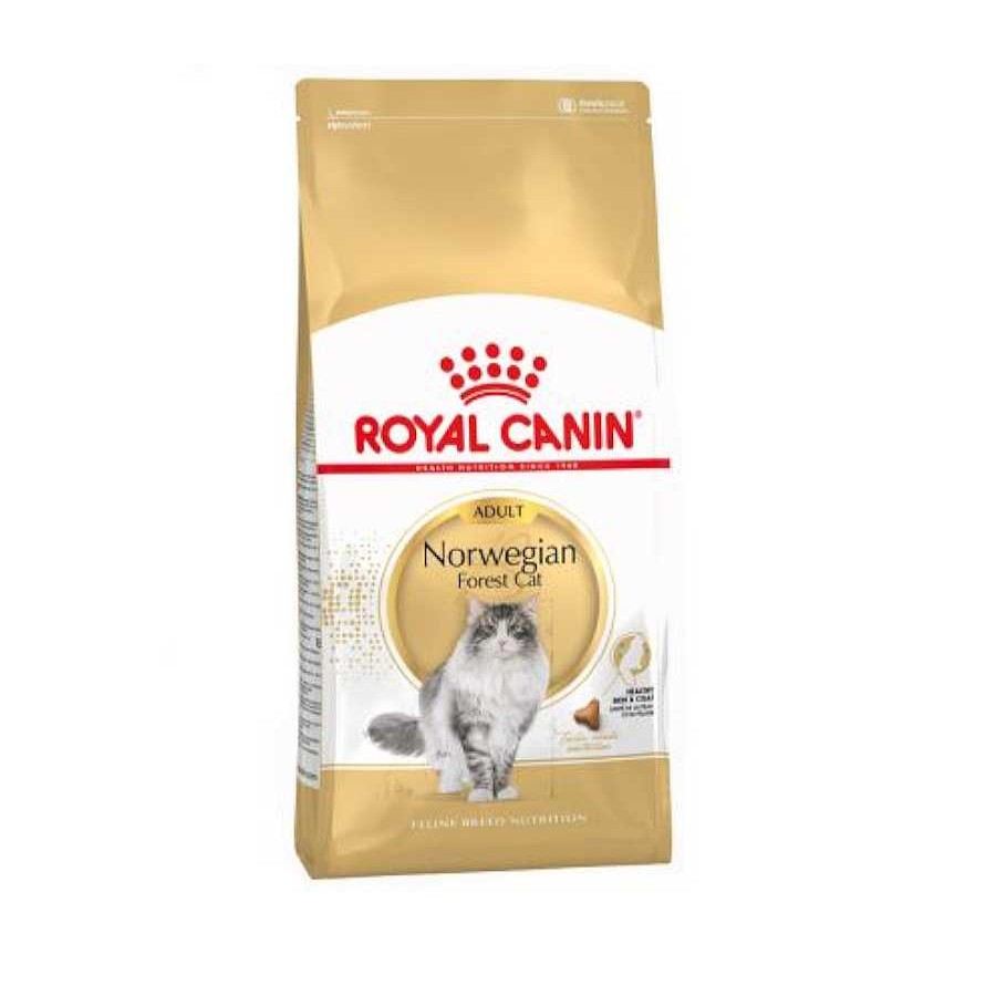 Gatos Royal Canin Pienso Seco | Royal Canin Adult Norwegian Forest Pienso Para Gatos