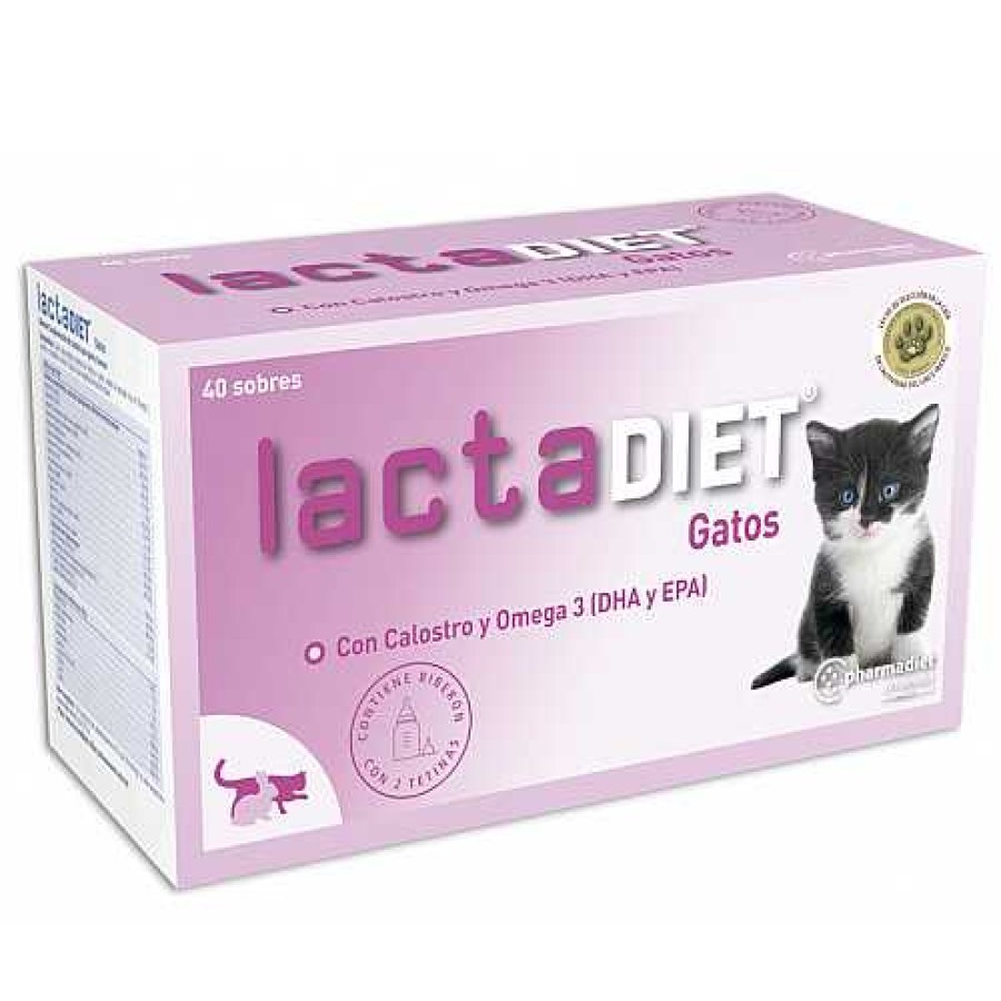 Gatos Pharmadiet | Pharmadiet Lactadiet Leche Para Gatitos