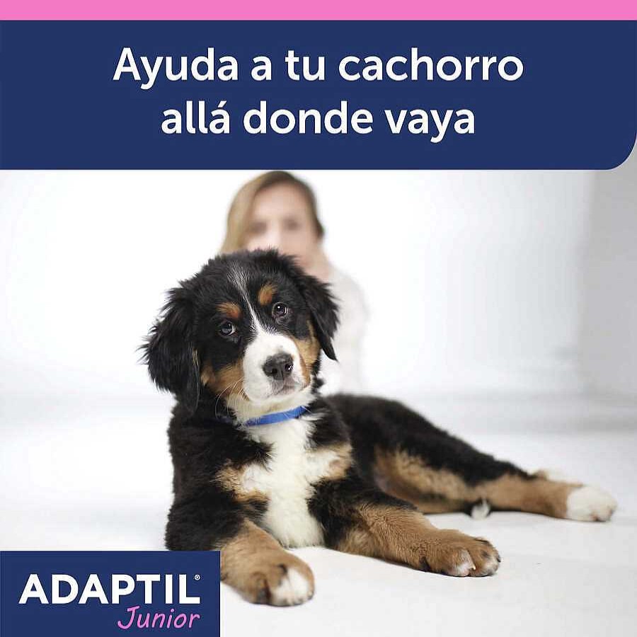 Perros Adaptil Transportines Y Viaje | Adaptil Junior Collar Anti-Estr S Para Perros