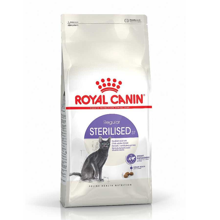 Gatos Royal Canin Pienso Seco | Royal Canin Regular Sterilised 37 Pienso Para Gatos