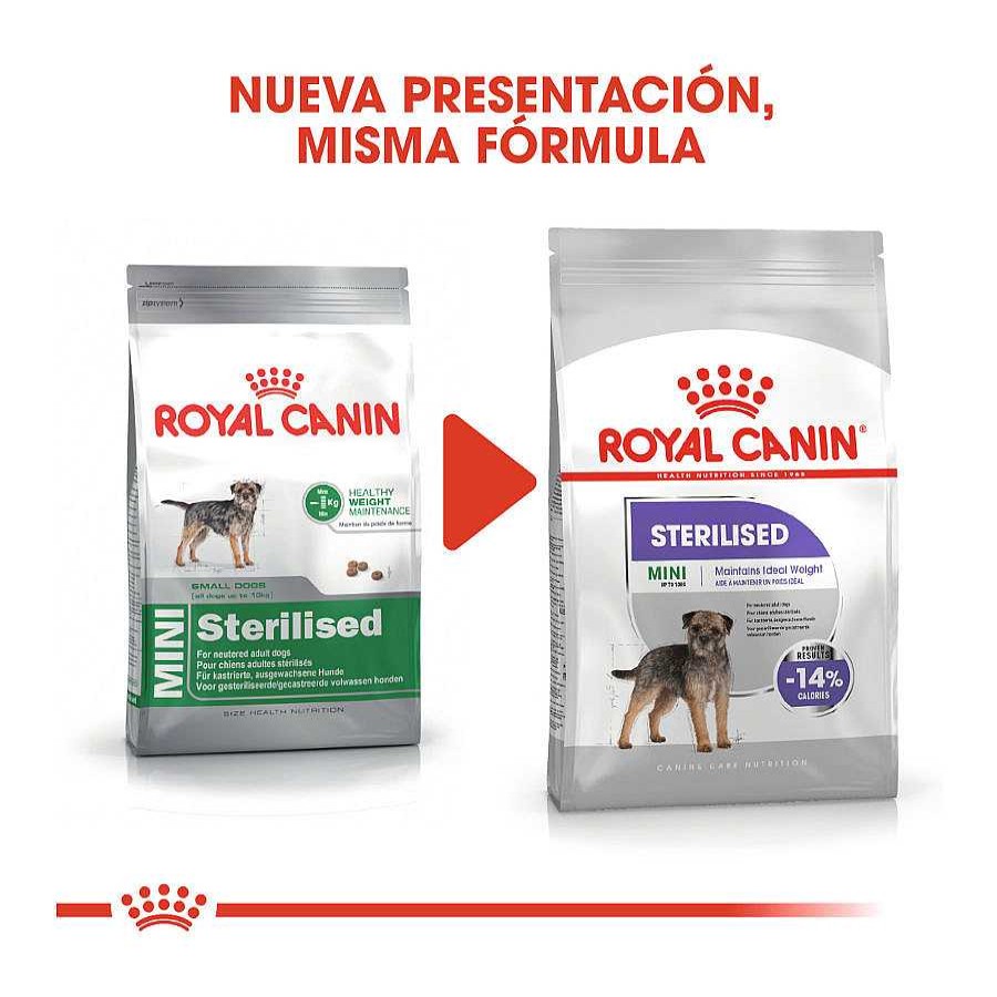 Perros Royal Canin Pienso Seco | Royal Canin Sterilised Mini Pienso Para Perros