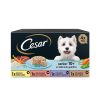 Perros Cesar Comida H Meda | Cesar Carnes Mixtas Tarrina En Gelatina Para Perros Senior - Multipack