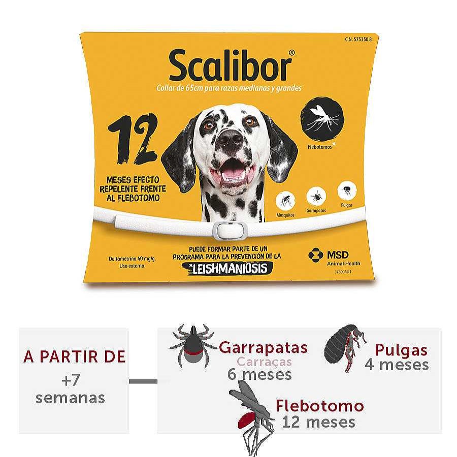 Perros Scalibor Antiparasitarios | Scalibor Collar Antiparasitario Para Perros