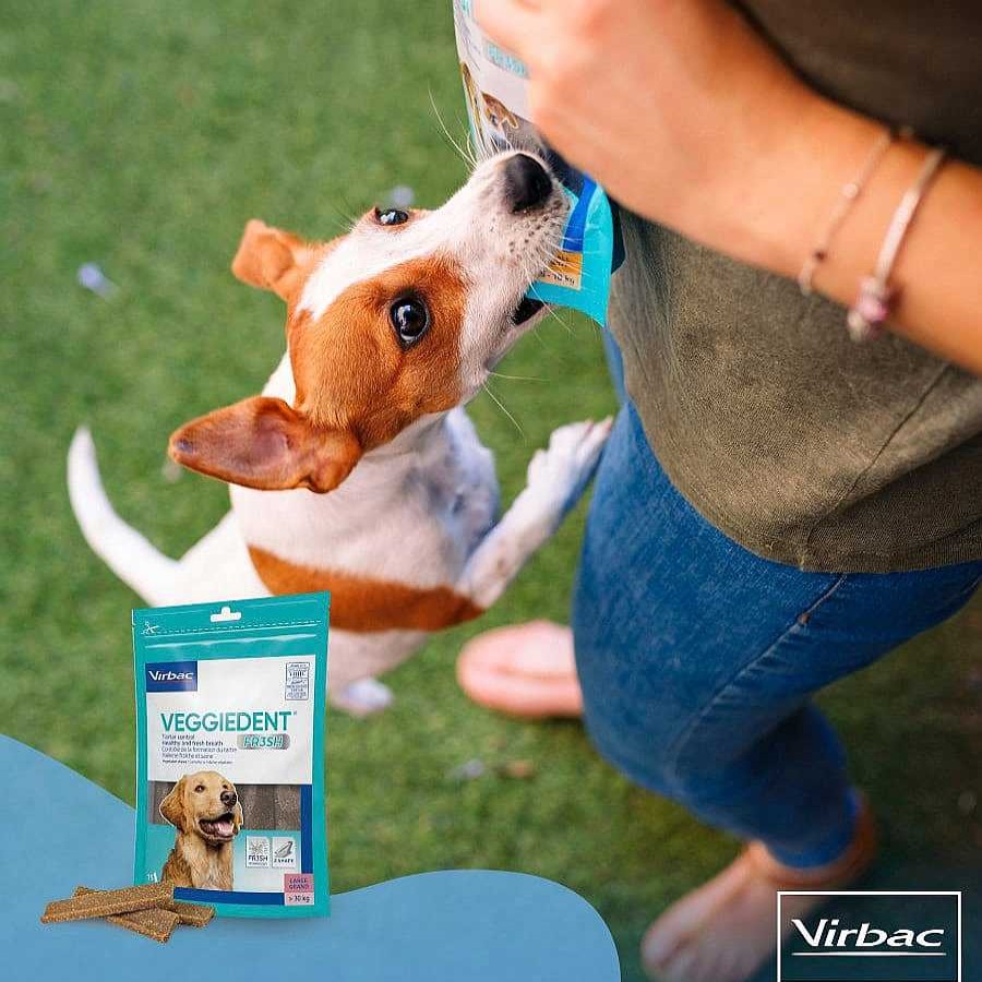 Perros Virbac Snacks Y Chuches | Virbac Snacks Dentales Veggiedent Fresh Para Perros De Raza Grande