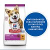 Perros Hill's Pienso Seco | Hill'S Science Plan Adult Small & Mini Pollo Pienso Para Perros